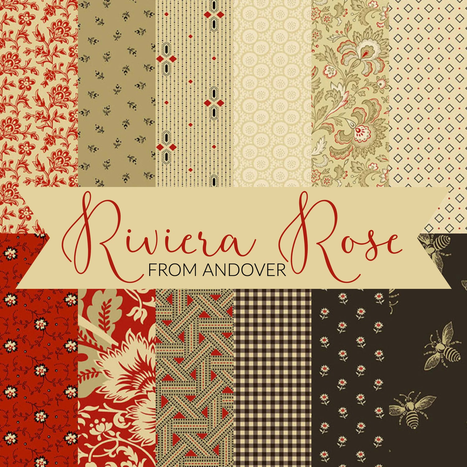 Riviera Rose
