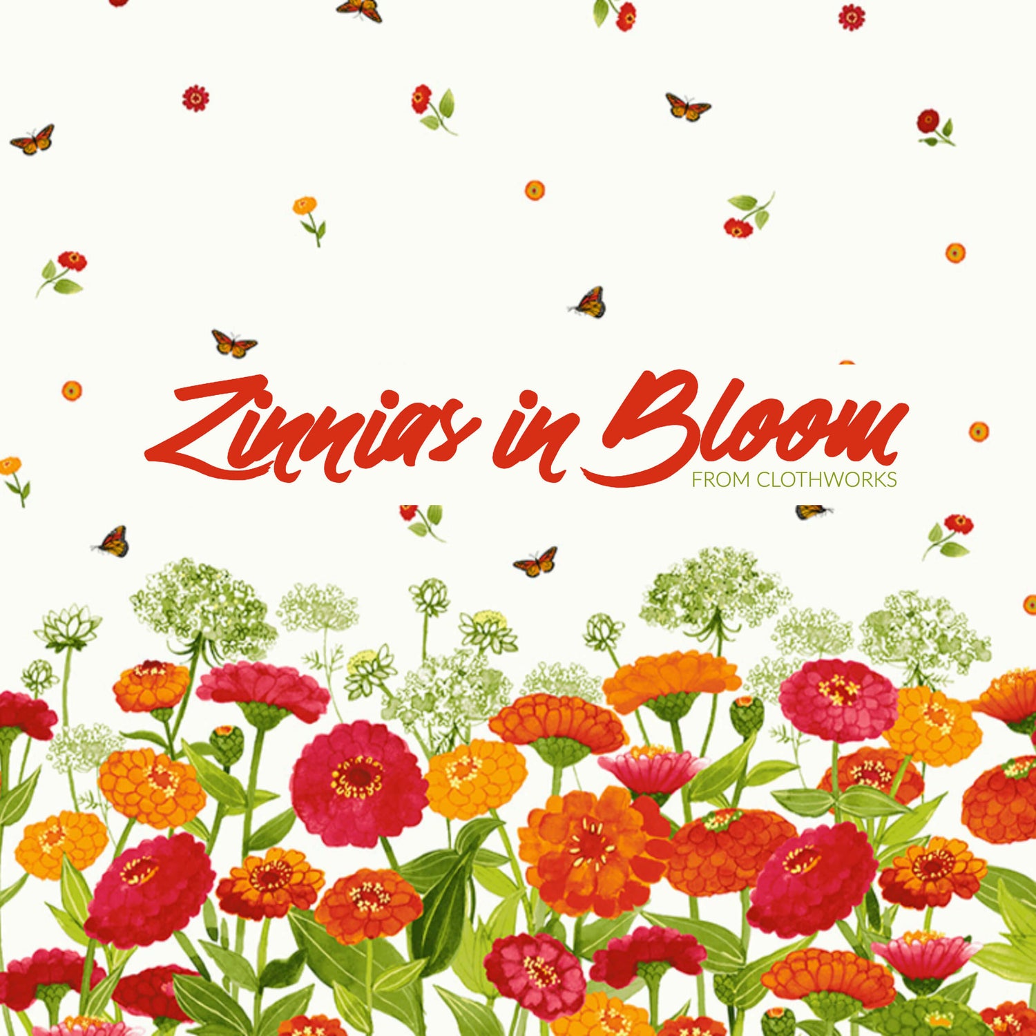 Zinnias in Bloom