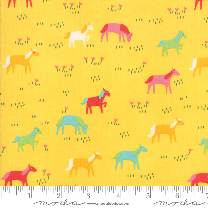 Best Friends Forever - Rainbow Ponies POS Fabric - Trapunto
