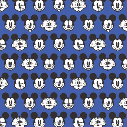 It's a Mickey Thing Fabric - Trapunto