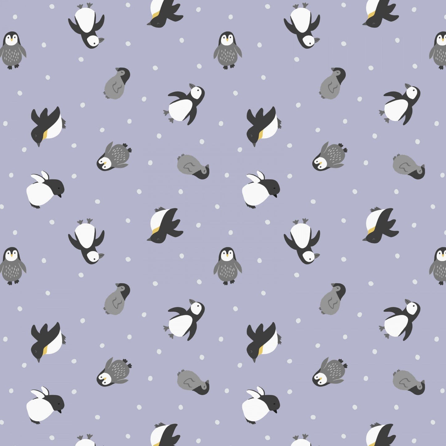 Small Things... Polar Animals - Penguins