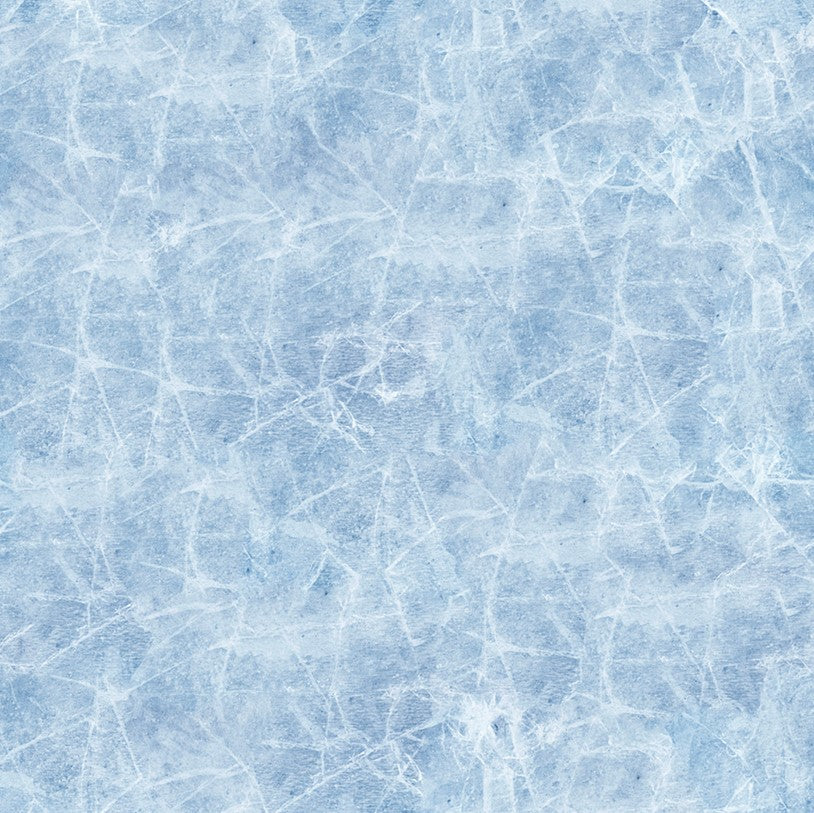 Canada's Game 2 - Ice