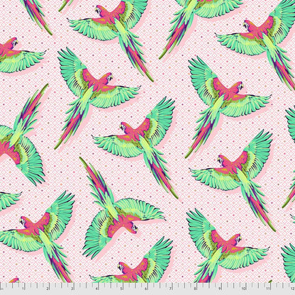 Tula Pink Daydreamer - Macaw Ya Later