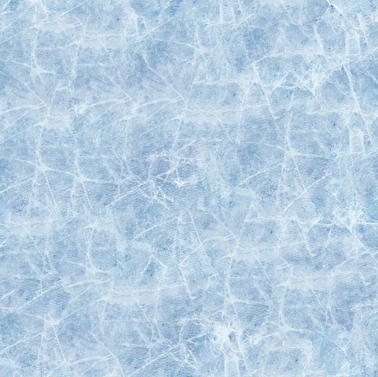 Canada's Game 2 - Ice
